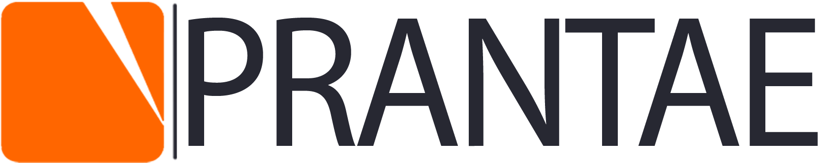 PRANTAE SOLUTIONS logo