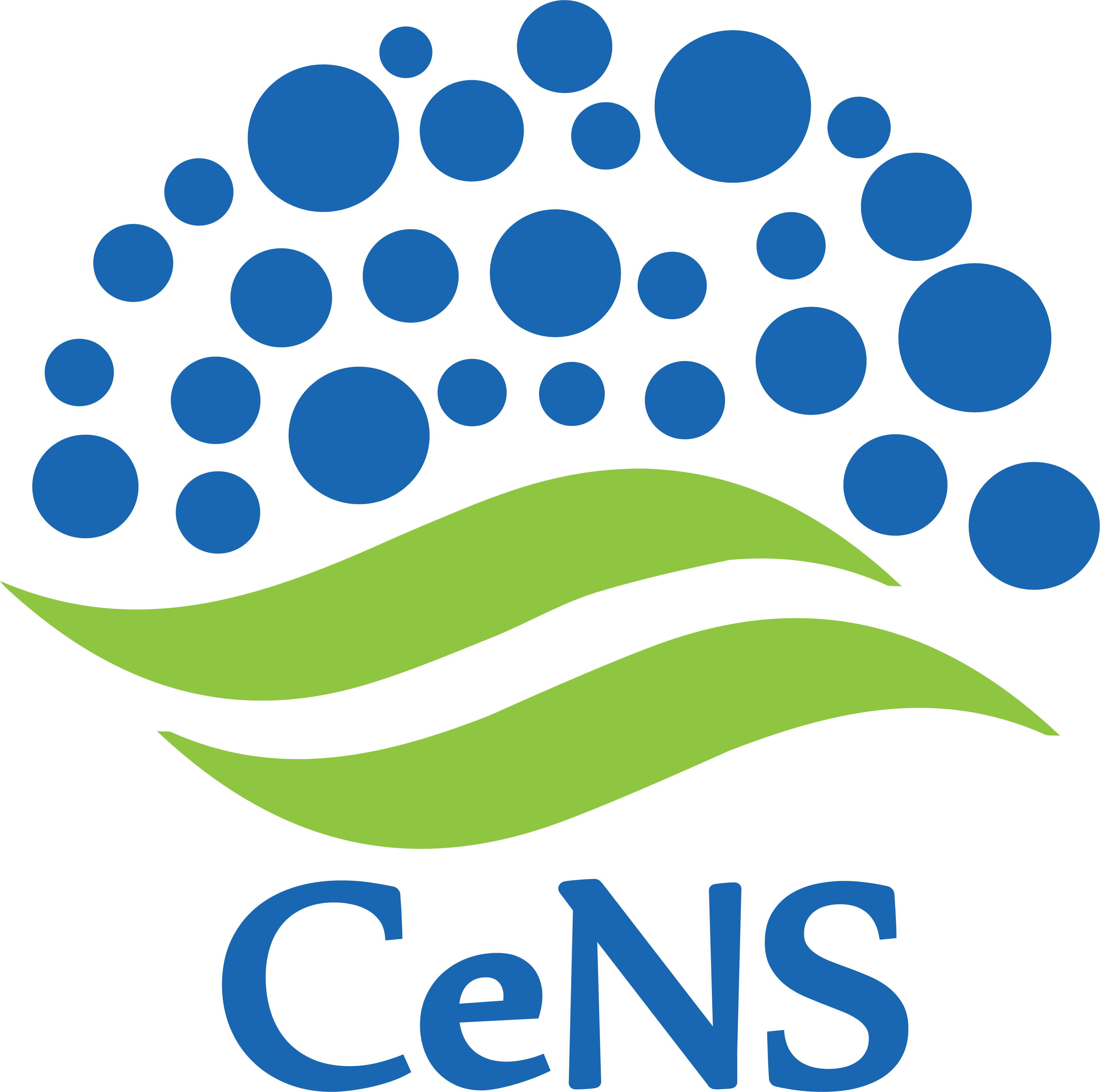 CENTRE FOR NANO AND SOFT MATTER SCIENCES, BENGALURU logo